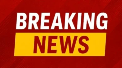 छत्तीसगढ़ में तबादलों पर बैन : 6 फरवरी 2026 तक लागू रहेगा प्रतिबंध, सरकार का फैसला